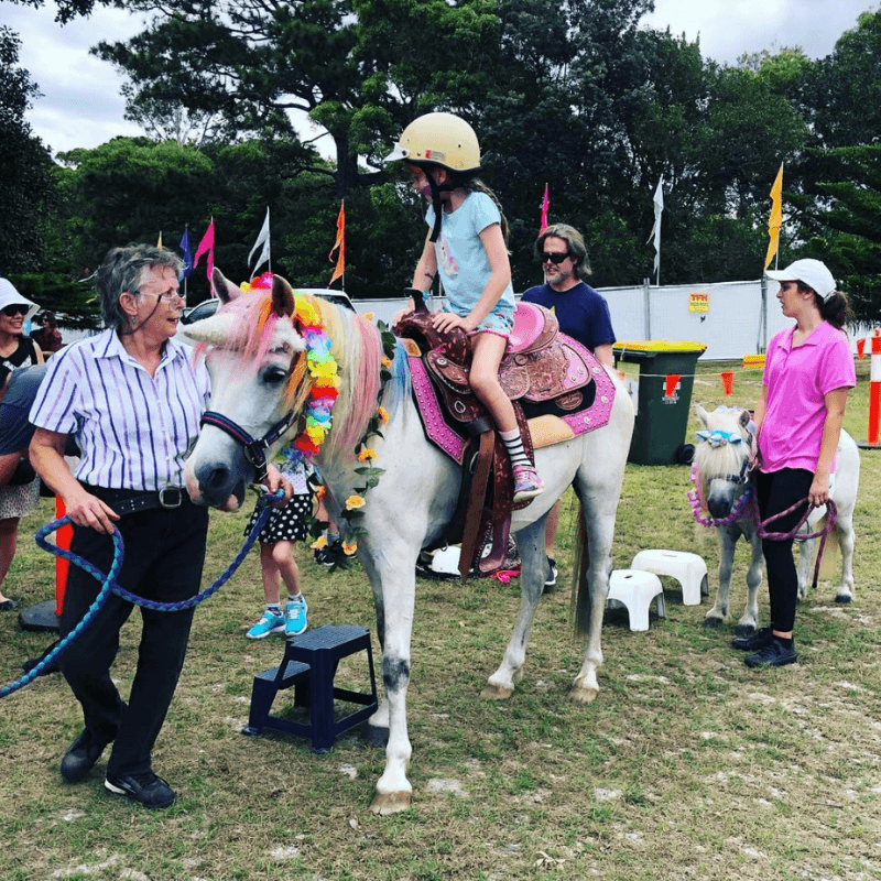Pony Rides for Hire