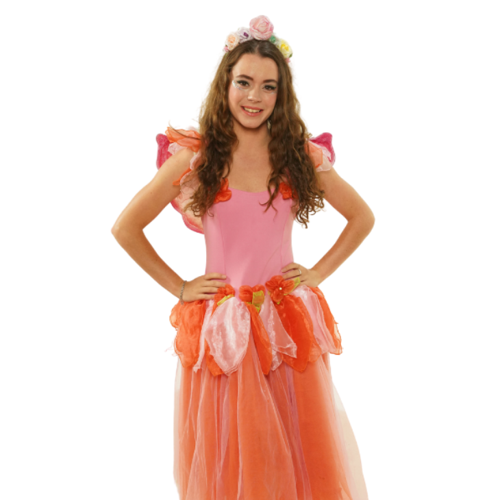 Pink and Orange Fairy